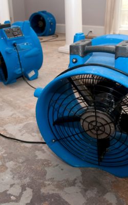 This is the sewage water damage recovery process in a residential home. The flooring is ripped off, and the rooms are sprayed with biowash. Industrial fans and dehumidifiers is placed in the room for the drying and restoration process. The process will last 3 days.